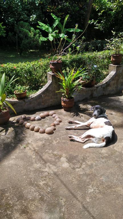 Arabian Soul Bed & Breakfast Varkala Exterior photo